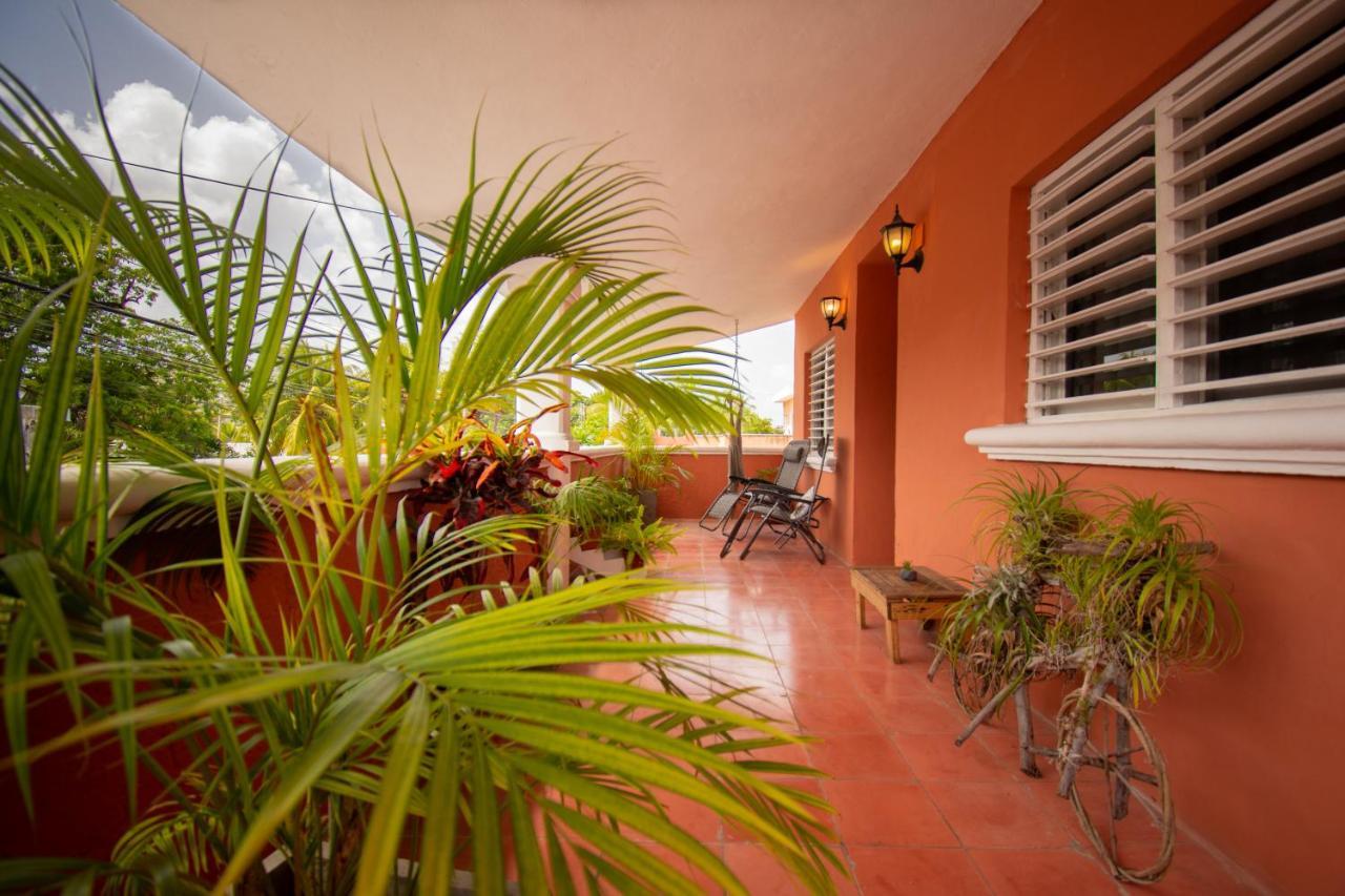 Budgies Cozumel Exterior photo